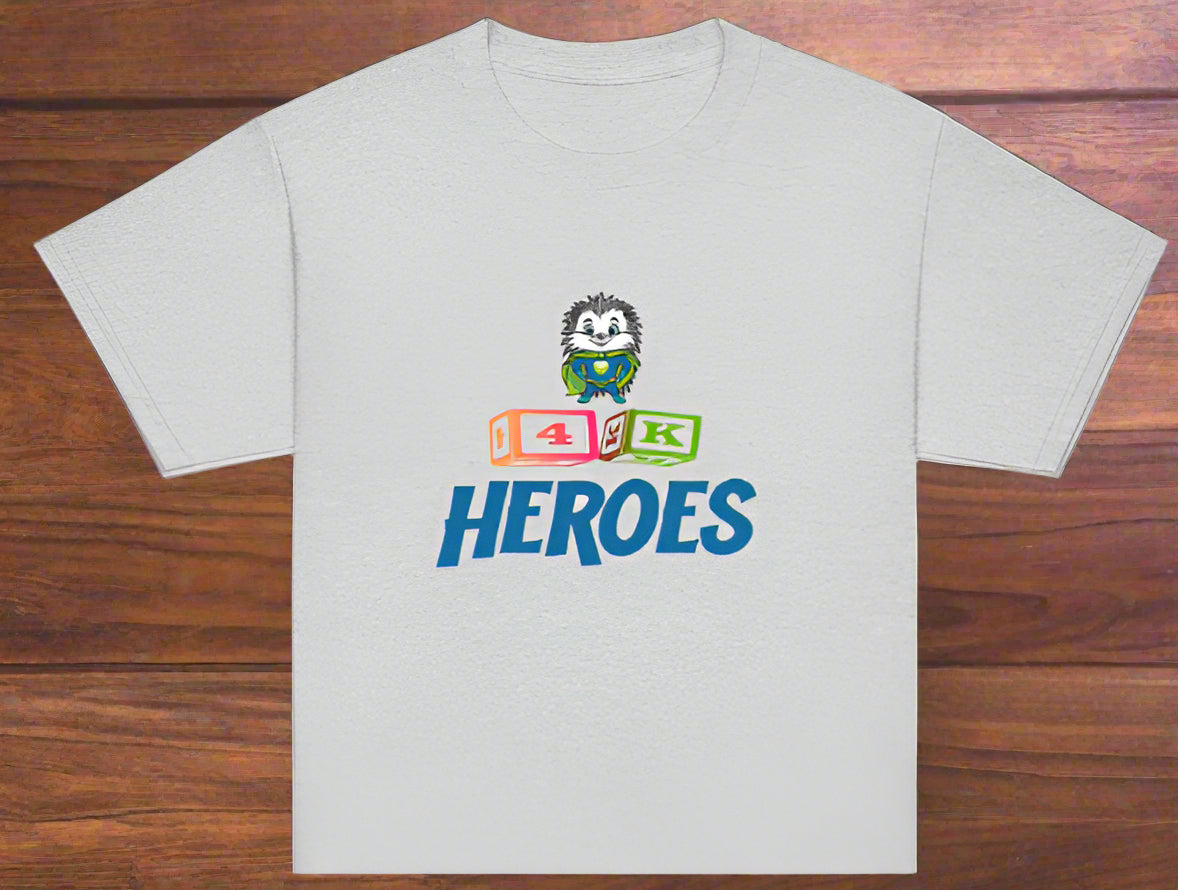 4k Hero T