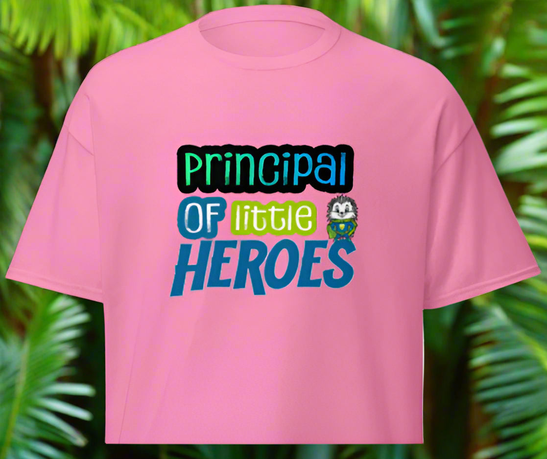 HWES Admin little hero T