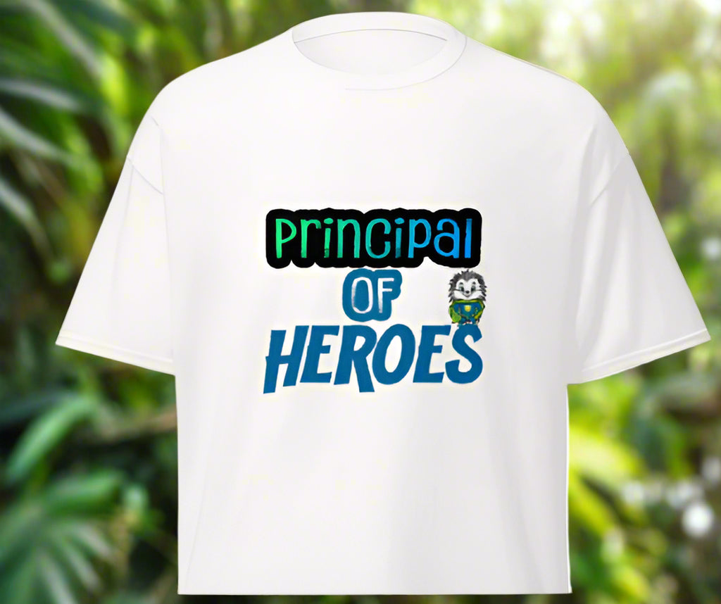 HWES Admin little hero T