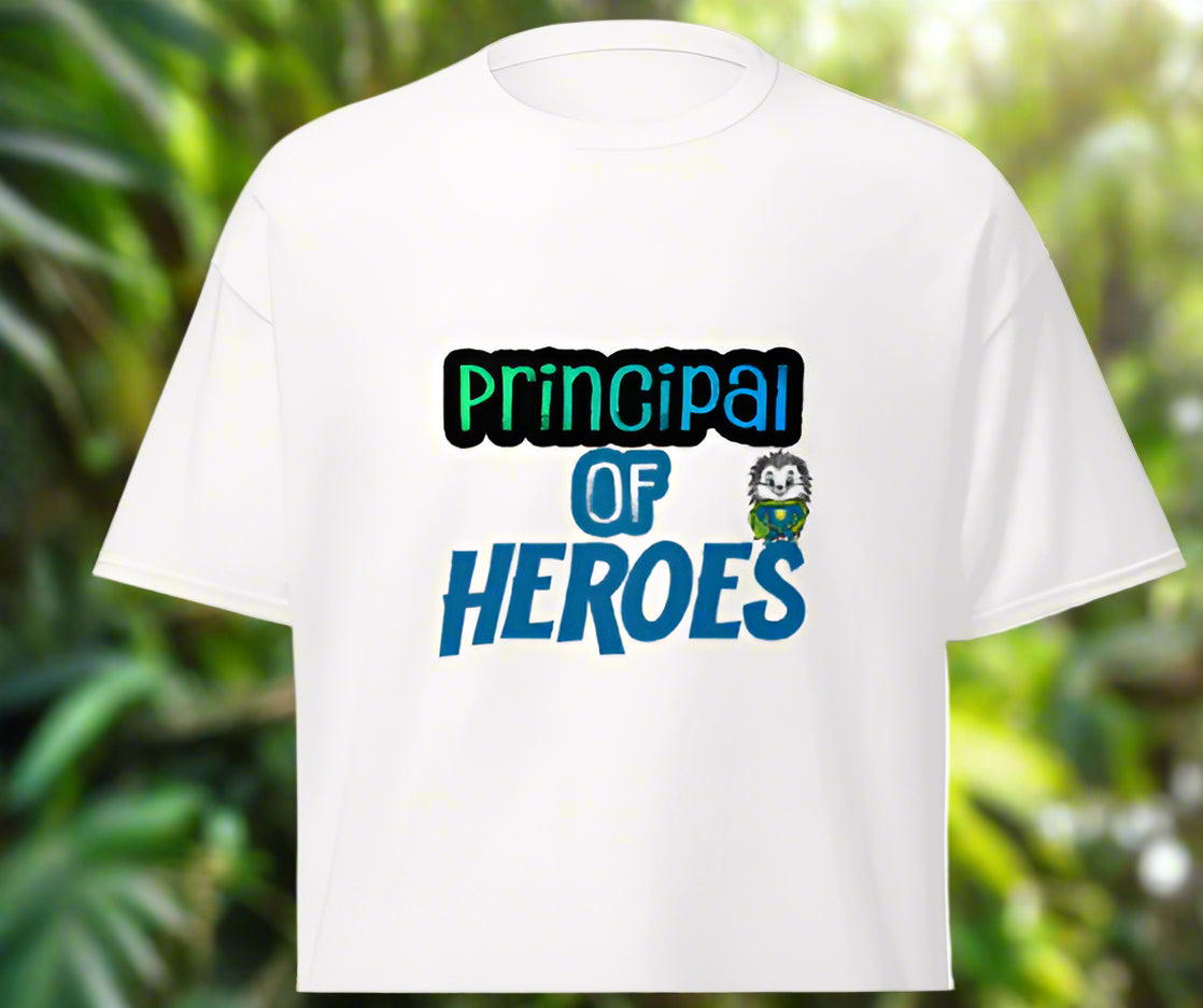 HWES Admin little hero T